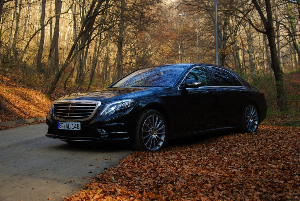 auto, autumn, benz, luxury car, mercedes, s class, transport, vehicle, brown car, mercedes. Best Battery Charger for Mercedes